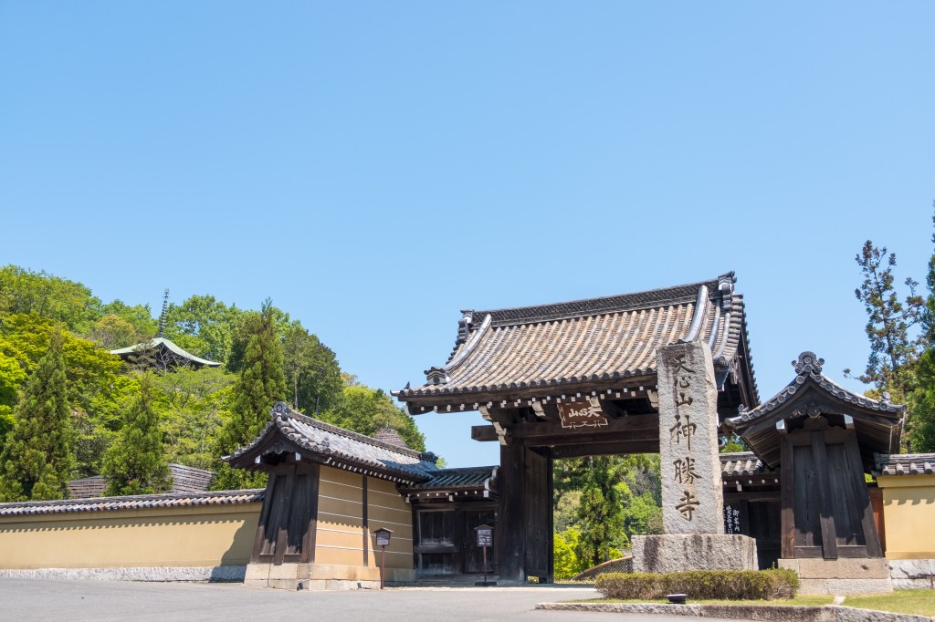 茶禅不昧公　高橋梅園 茶禅一味 1日体験プラン | 【公式】広島の観光・旅行情報サイト Dive