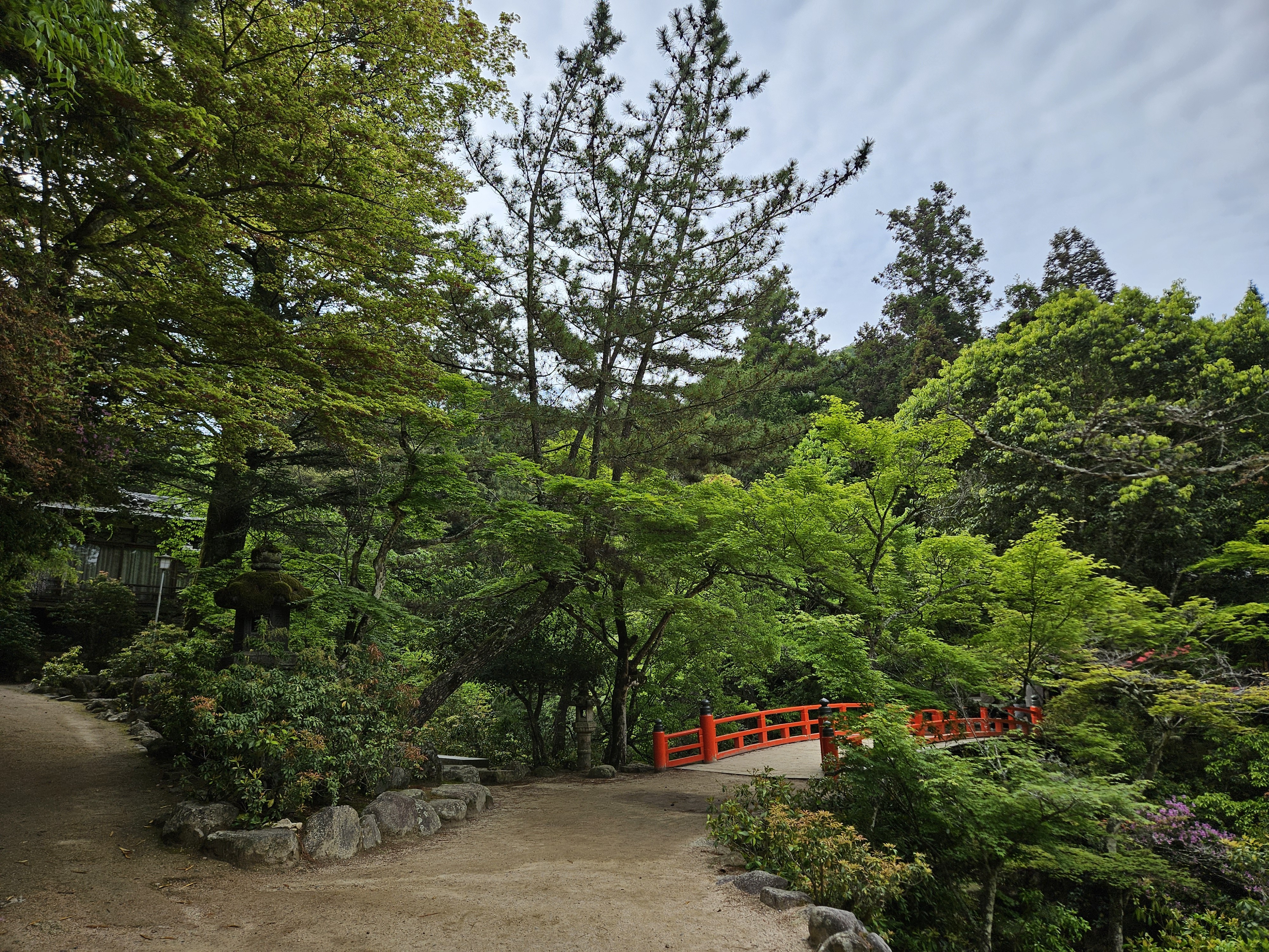 春から夏にかけては緑が清々しい、青紅葉