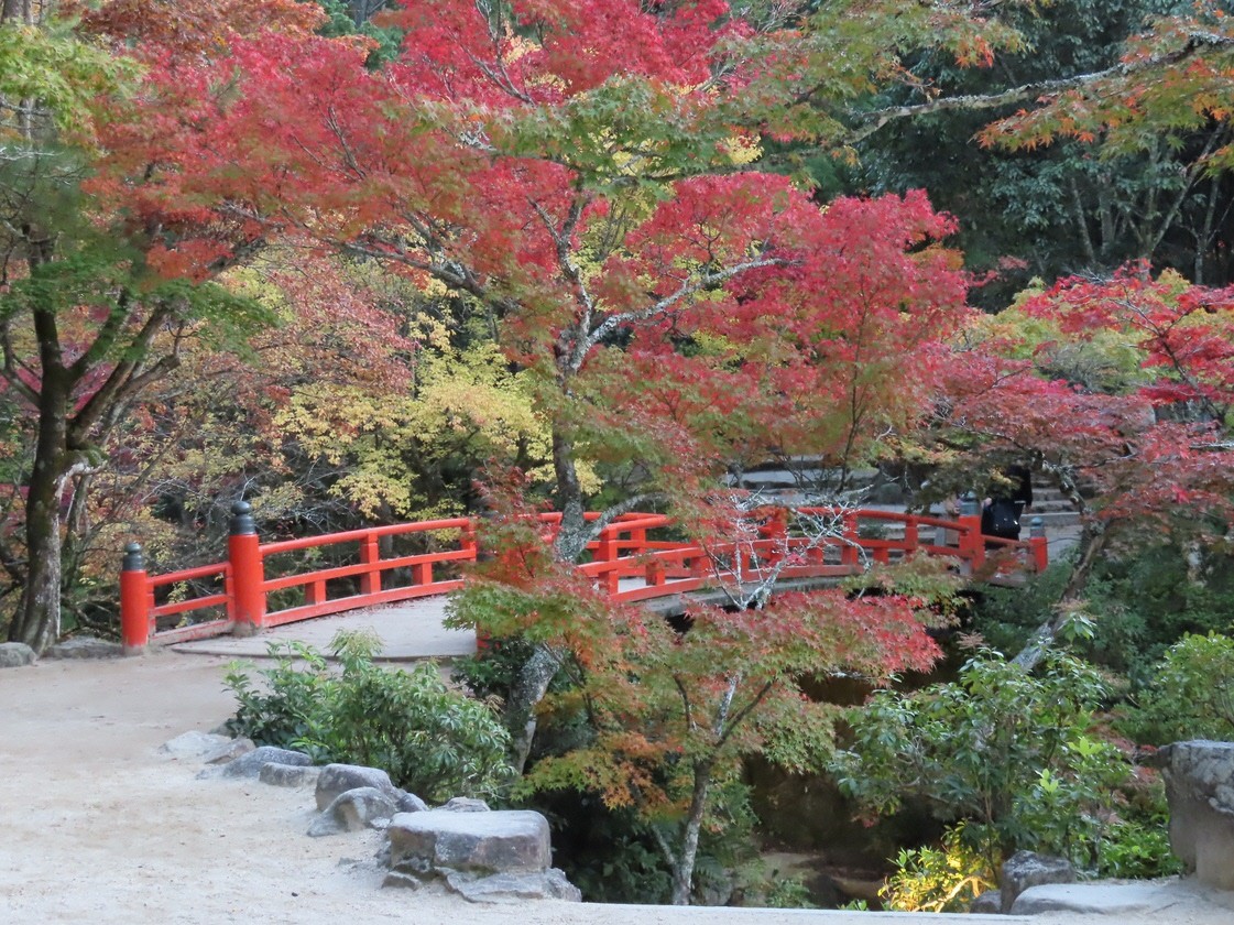 紅葉橋　秋の様子