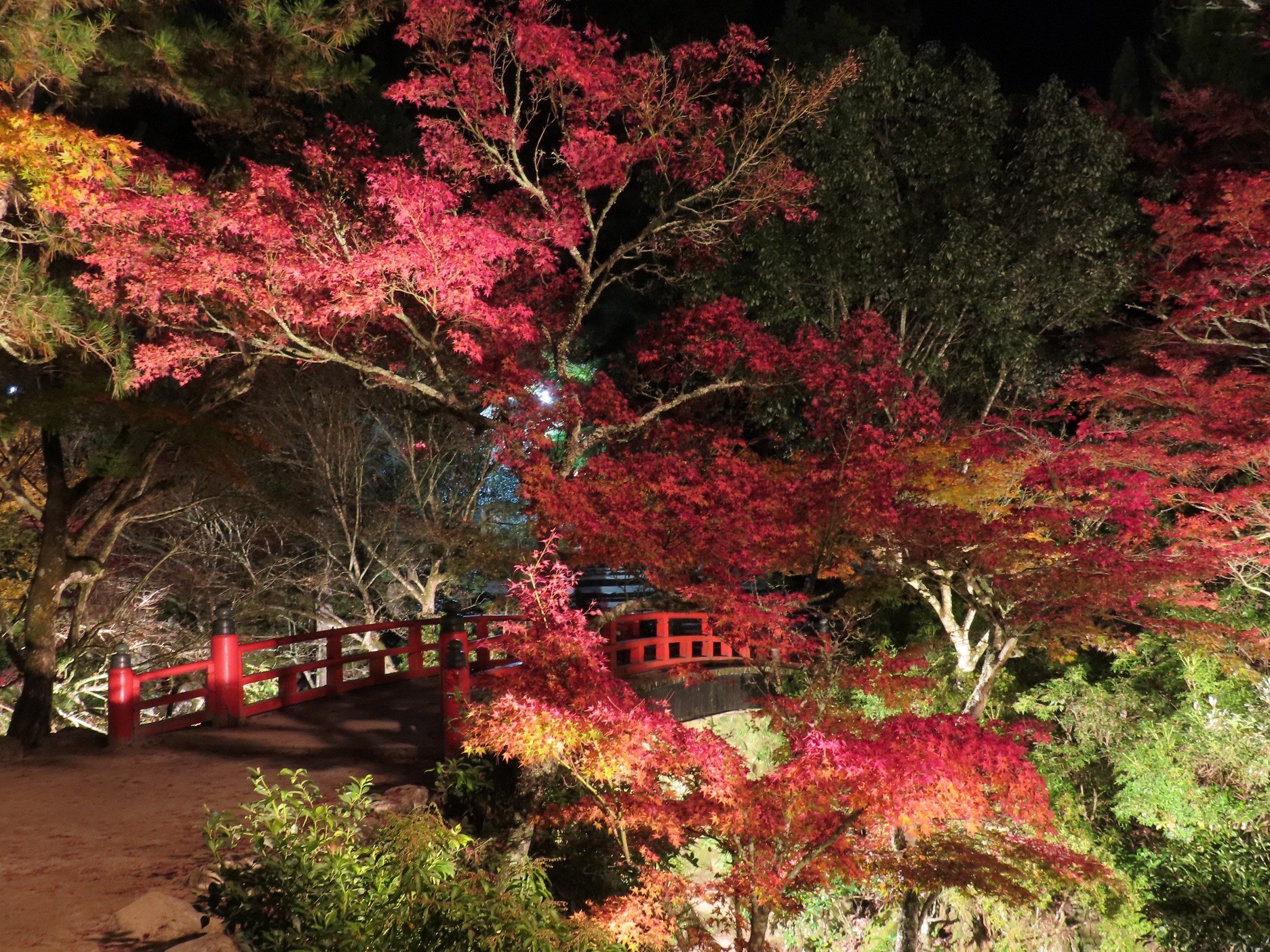 紅葉橋ライトアップ