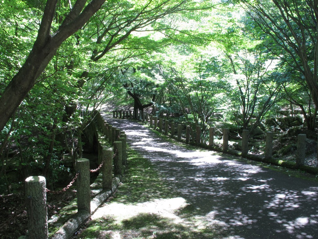 当時のメディア報道・掲載写真