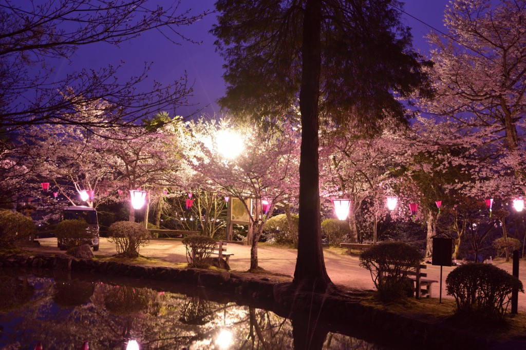 2019年4月7日 郡山公園と清神社夜桜