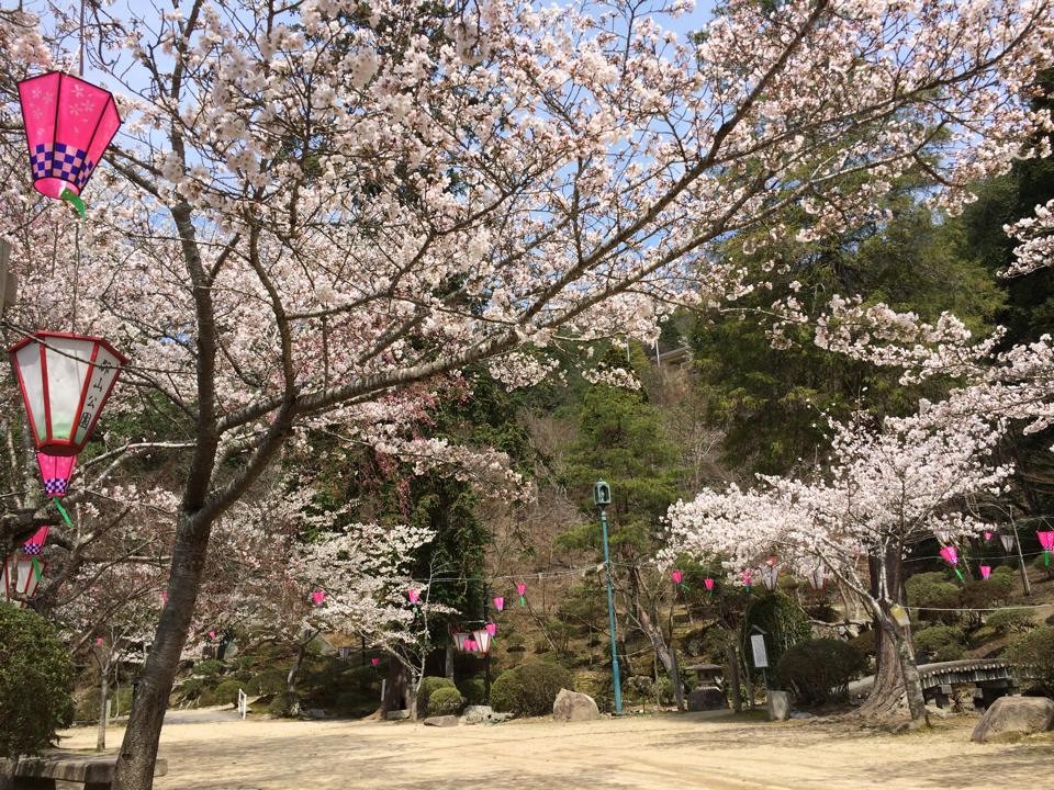 春（桜）