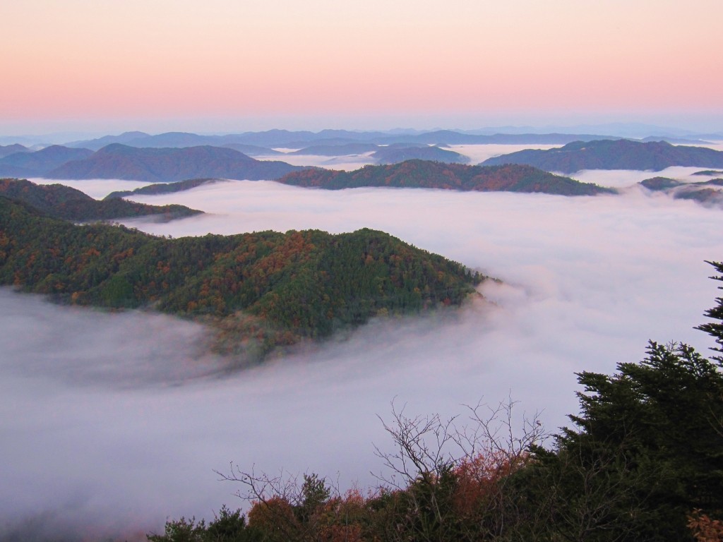 鷹ノ巣山からの雲海