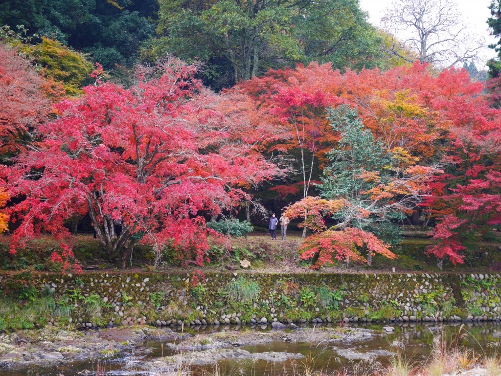 Maple forest of the ruins of a mere hermitage | The Official Guide